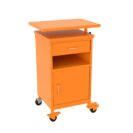 szafka SZL 201 - ral 2004