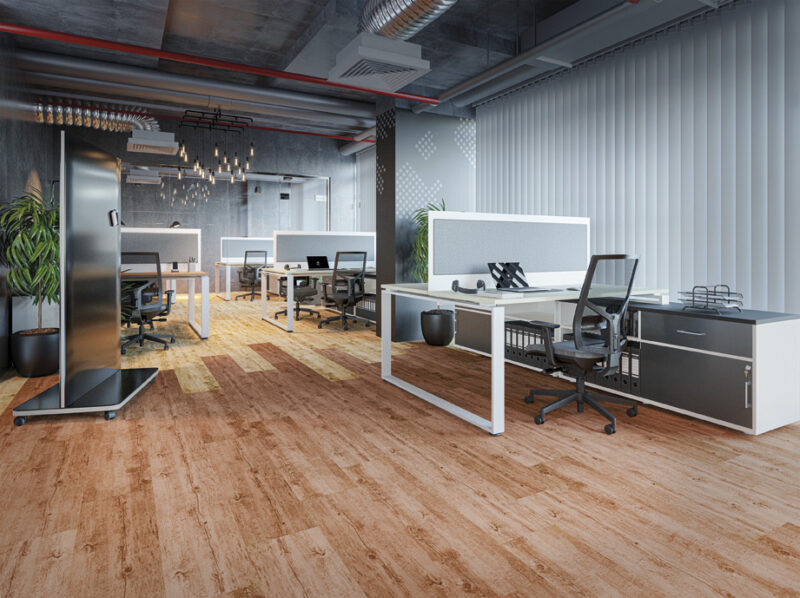 37_xar-fbn 37_xar-fbn