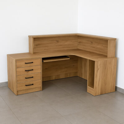 Lada-biblioteczna-EWA-narozna-dab-nagano prawa